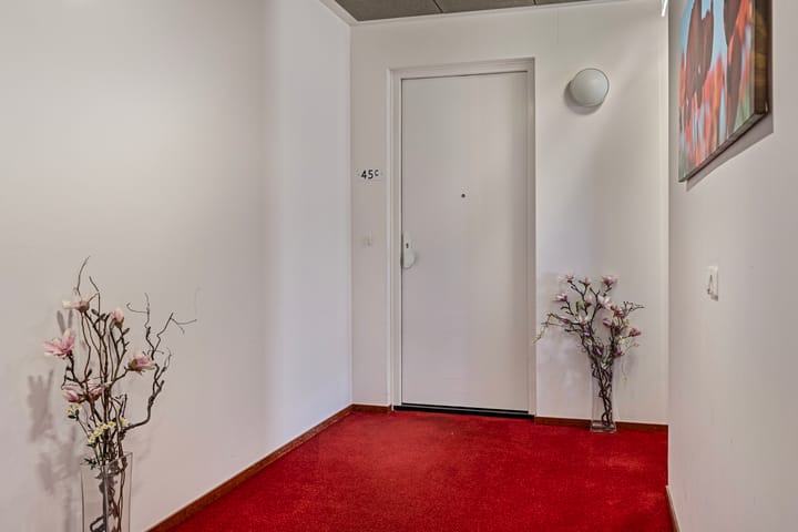 Foto 7 van Smetanalaan 45-C