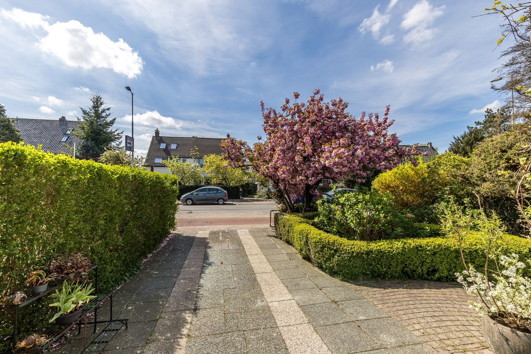 Foto 3 van Terbregseweg 77