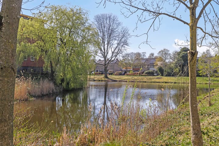 Foto 27 van Smetanalaan 45-C