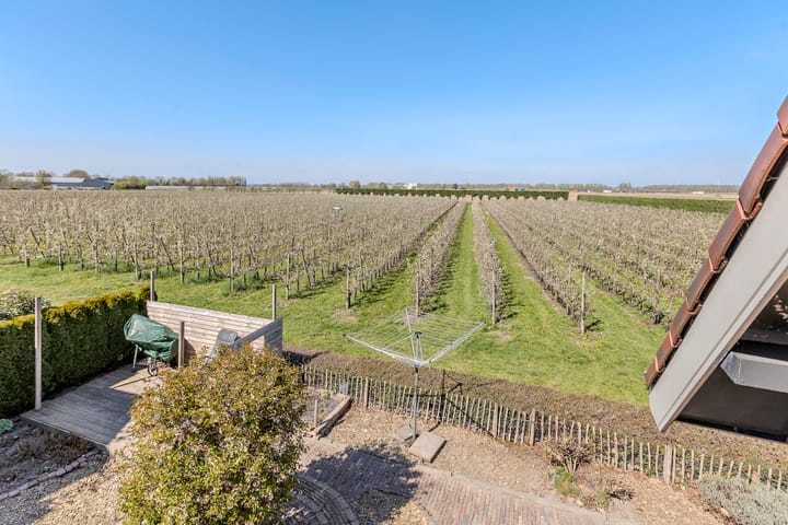 Foto 34 van Afgeslechtedijk 45