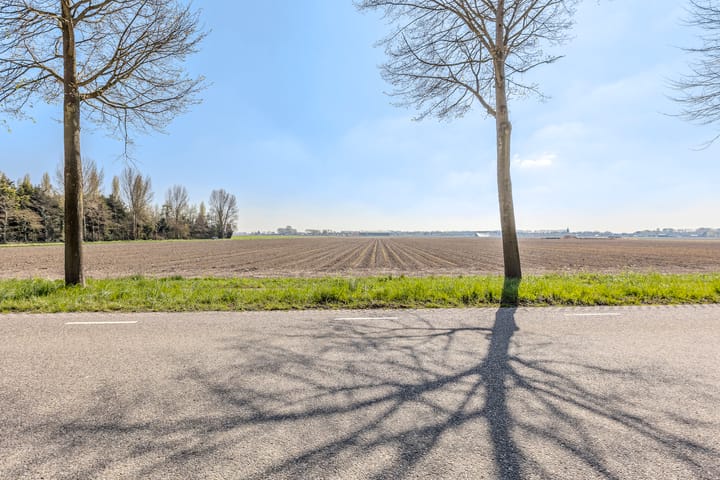 Foto 53 van Afgeslechtedijk 45