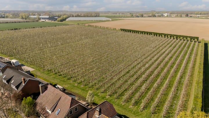 Foto 59 van Afgeslechtedijk 45