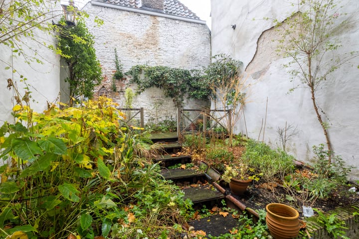 Photo 16 of Wijnstraat 85