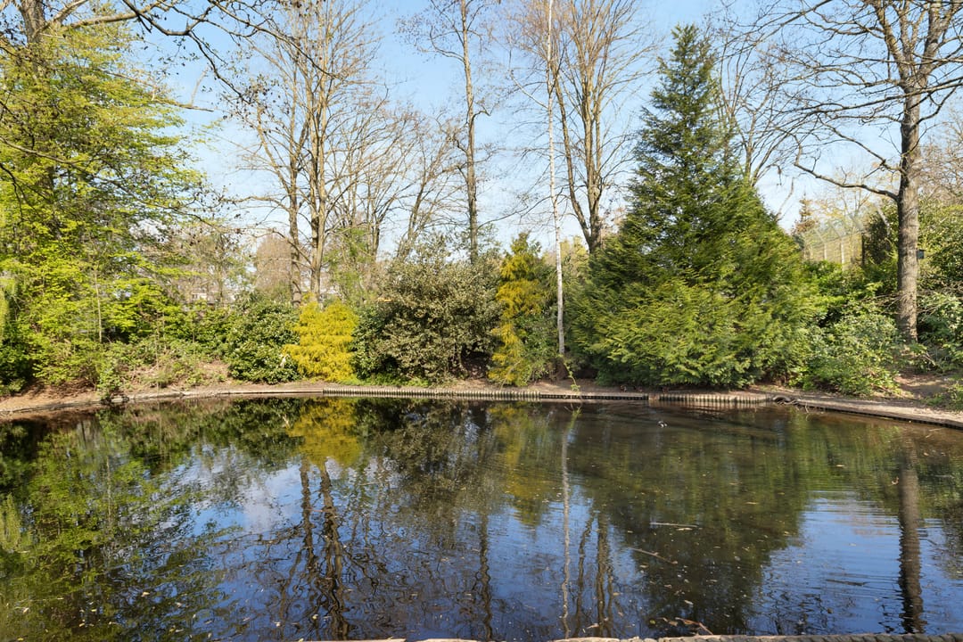 Foto 38 van Gruttolaan 12