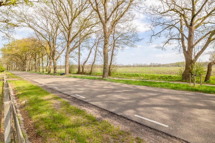 Foto 5 van Ter Apelerstraat 12