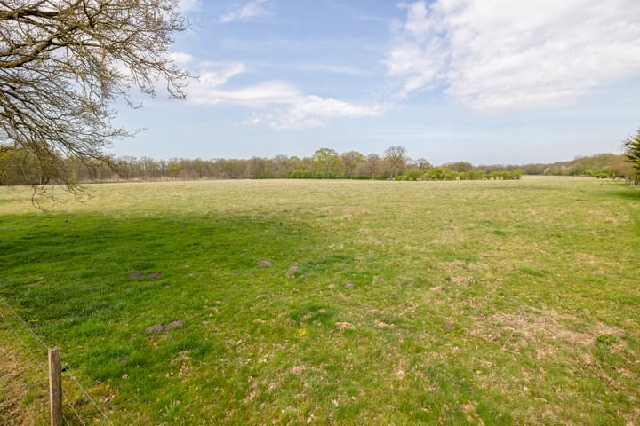 Foto 45 van Ter Apelerstraat 12