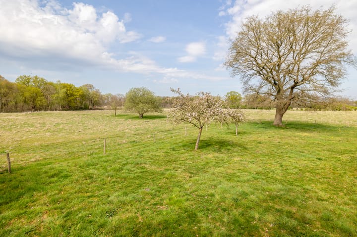 Foto 51 van Ter Apelerstraat 12