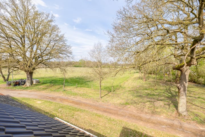 Foto 23 van Ter Apelerstraat 12