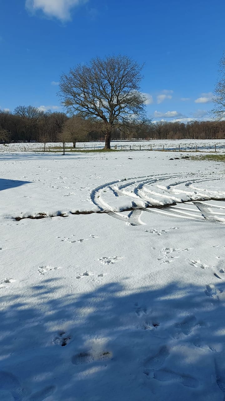 Foto 63 van Ter Apelerstraat 12