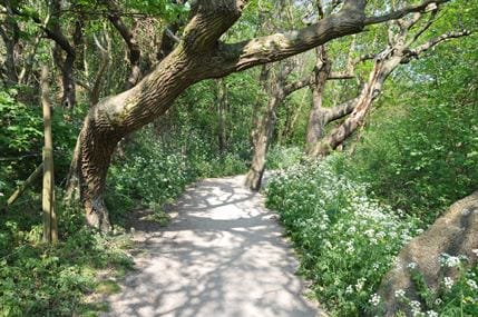 Foto 3 van Park Loverendale 30