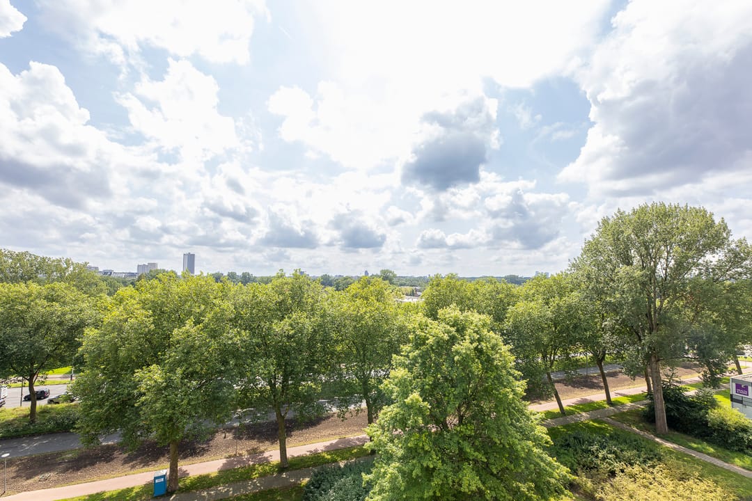 Foto 2 van Cordell Hullplaats 293