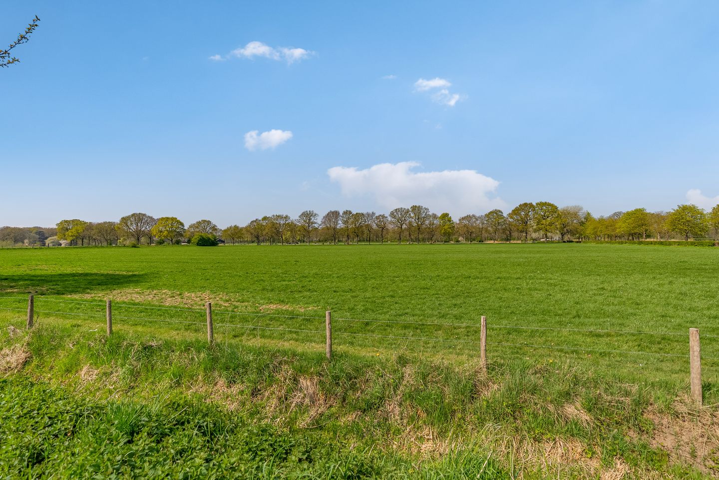 Photo 79 of Koperslagershoek 30