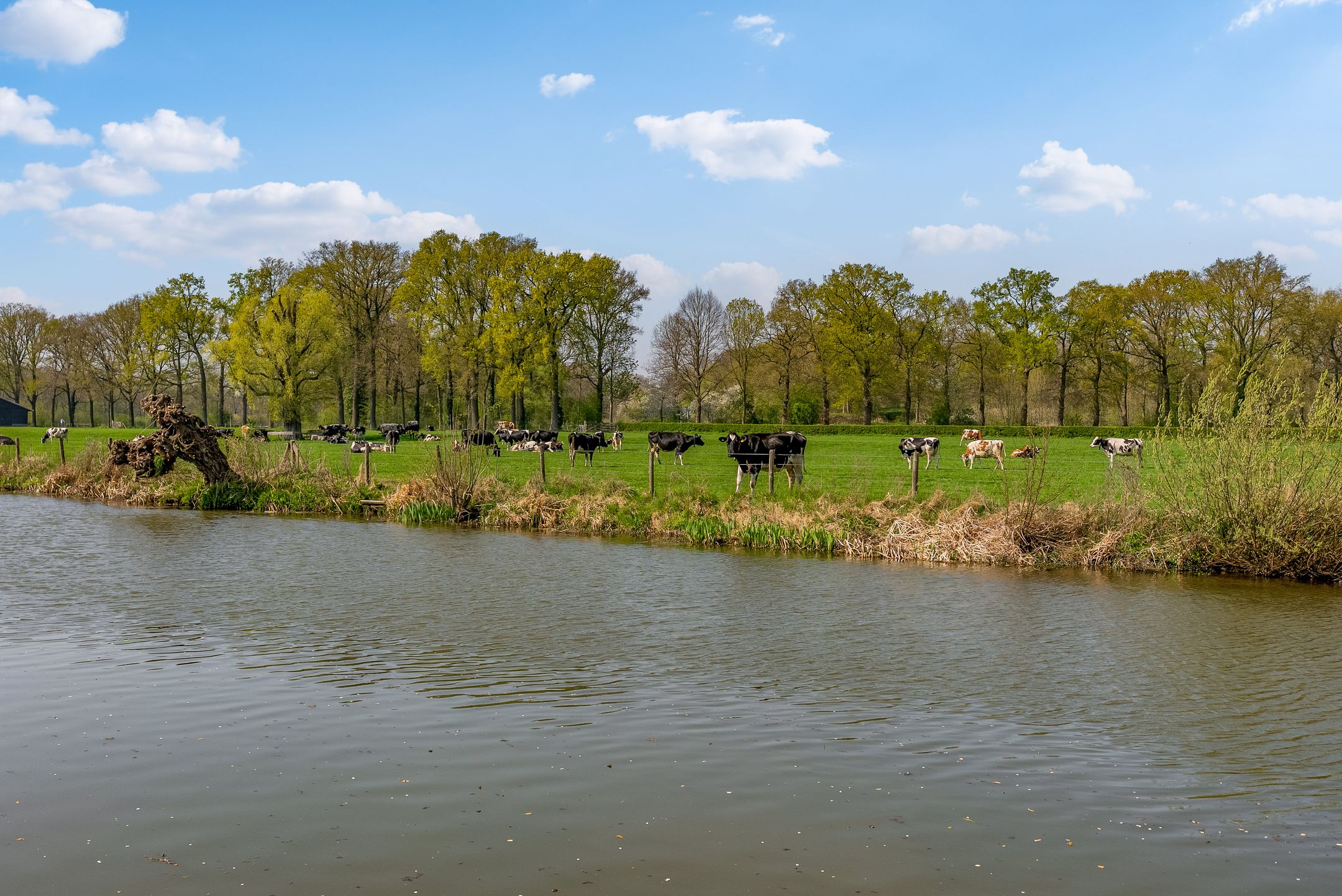 Photo 84 of Koperslagershoek 30