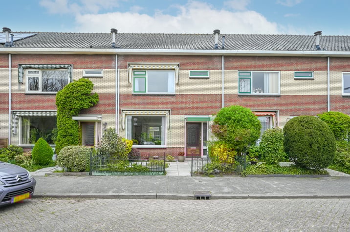 undefined main image