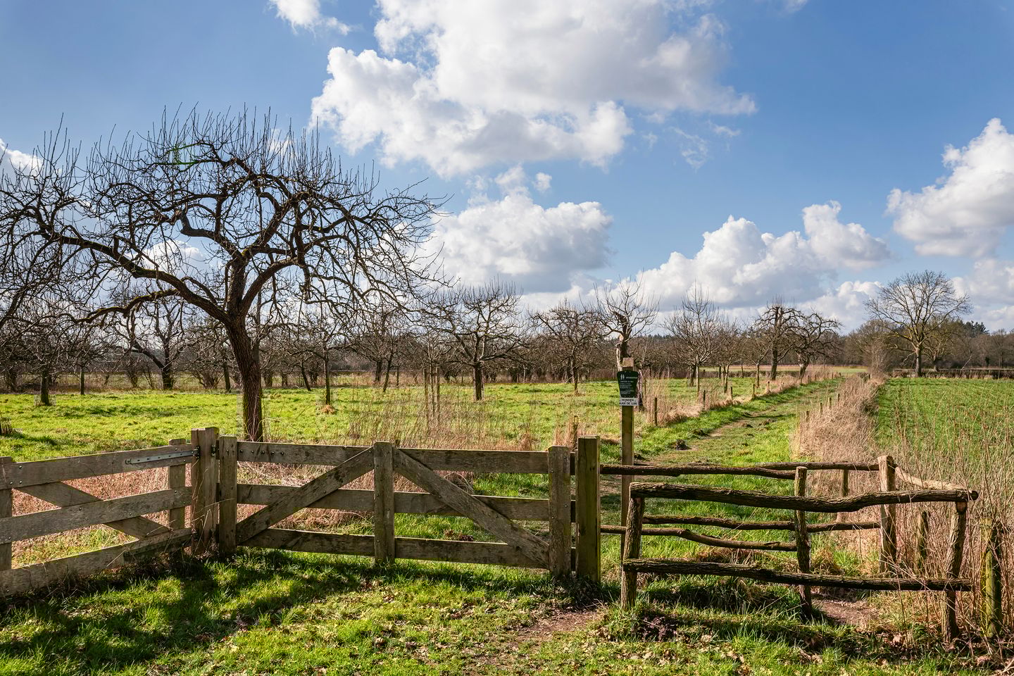 Foto 35 van Nijenbeekseweg 48