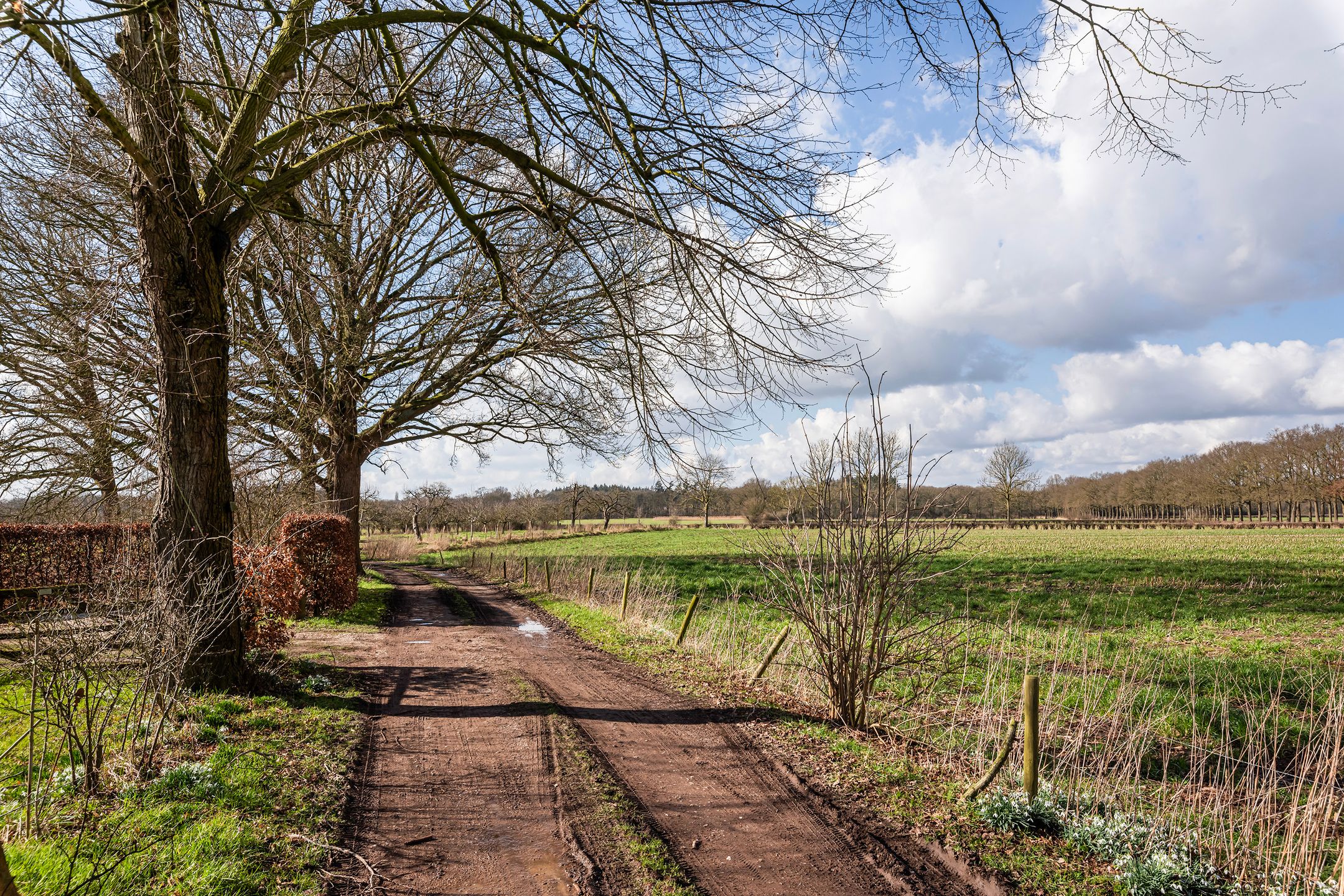 Foto 39 van Nijenbeekseweg 48