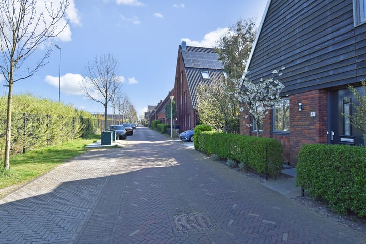 Foto 50 van Gentiaan 47