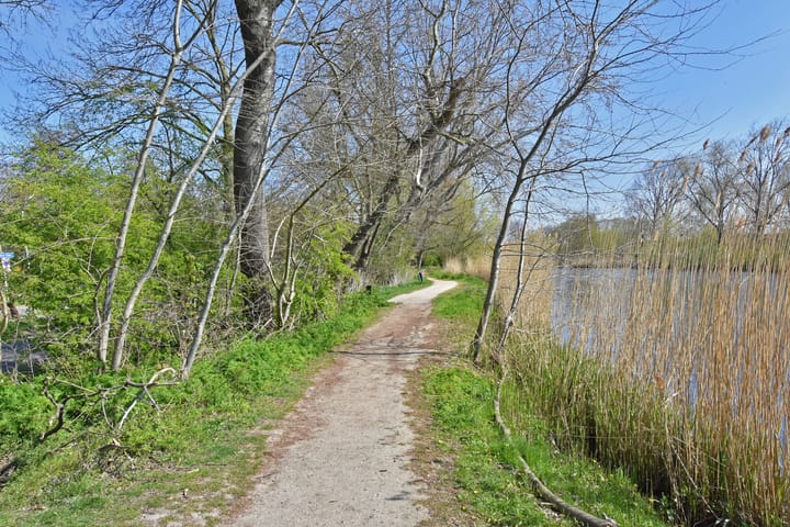 Foto 56 van Gentiaan 47