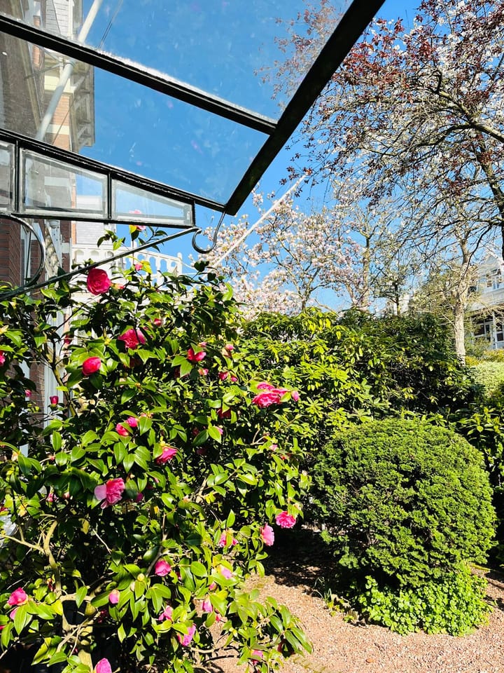 Foto 5 van Van Lennepweg 6