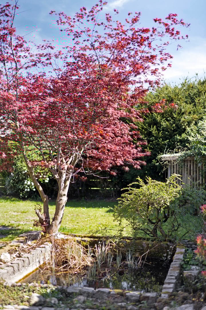 Foto 18 van Landweringstraat 46