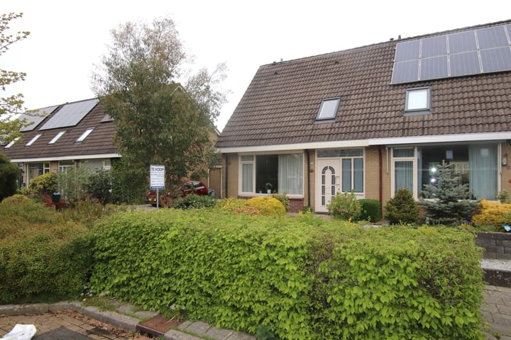 Foto 3 van De Bunders 41