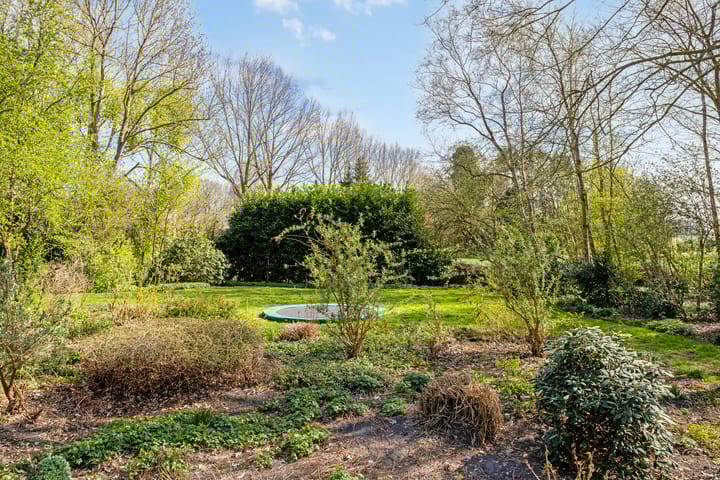 Foto 8 van Zuiderstraat 22