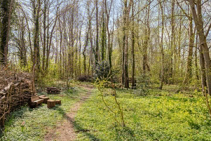 Foto 9 van Zuiderstraat 22