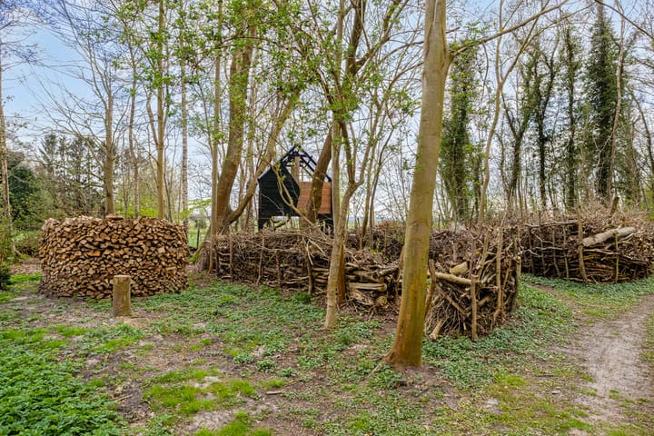 Foto 70 van Zuiderstraat 22