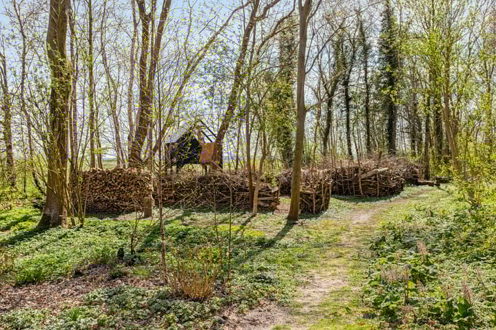 Foto 72 van Zuiderstraat 22