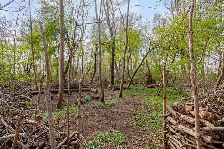 Foto 81 van Zuiderstraat 22