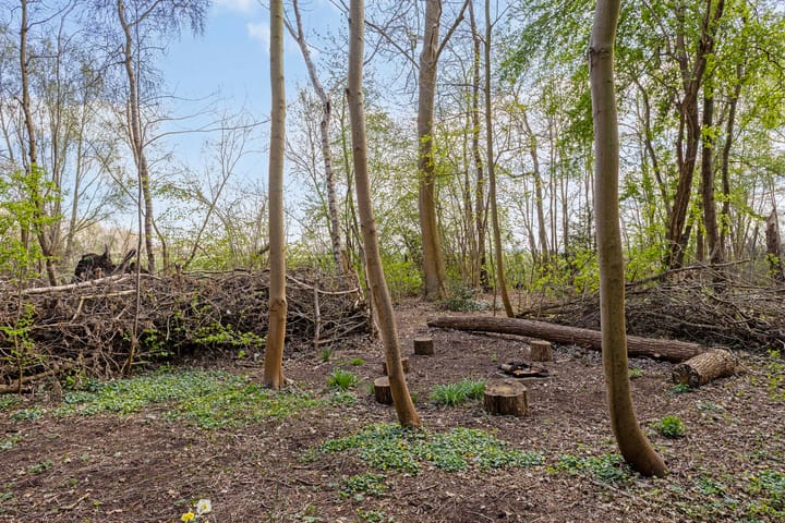 Foto 82 van Zuiderstraat 22