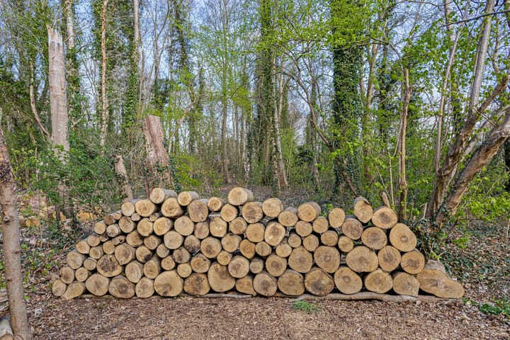 Foto 83 van Zuiderstraat 22