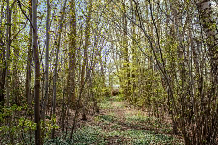 Foto 84 van Zuiderstraat 22