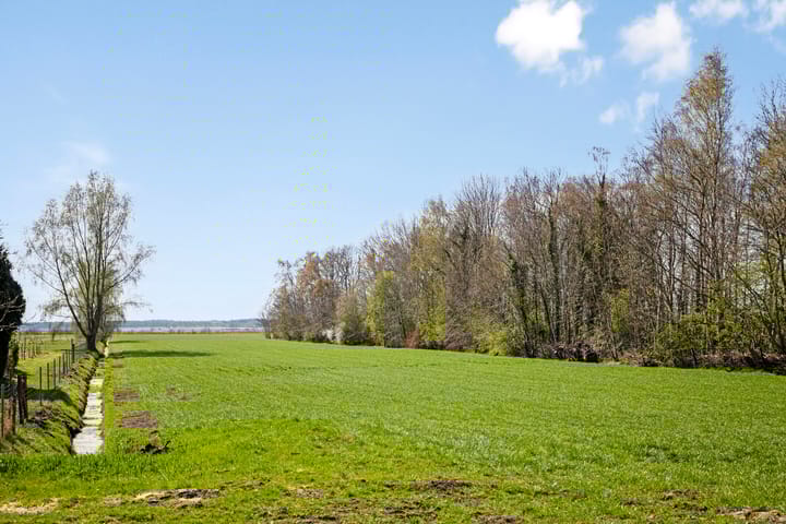 Foto 90 van Zuiderstraat 22