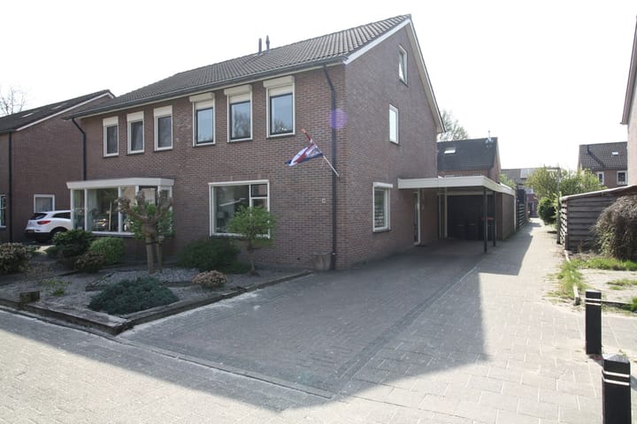 Foto 28 van De Aalscholver 30