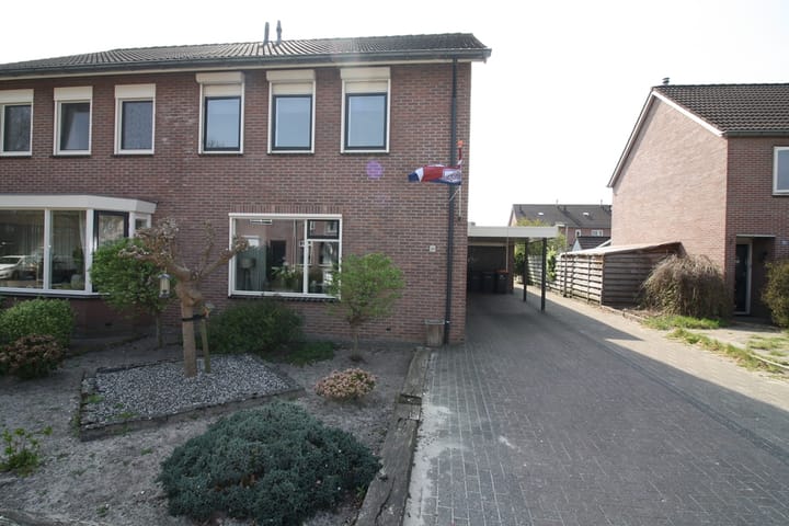 Foto 29 van De Aalscholver 30