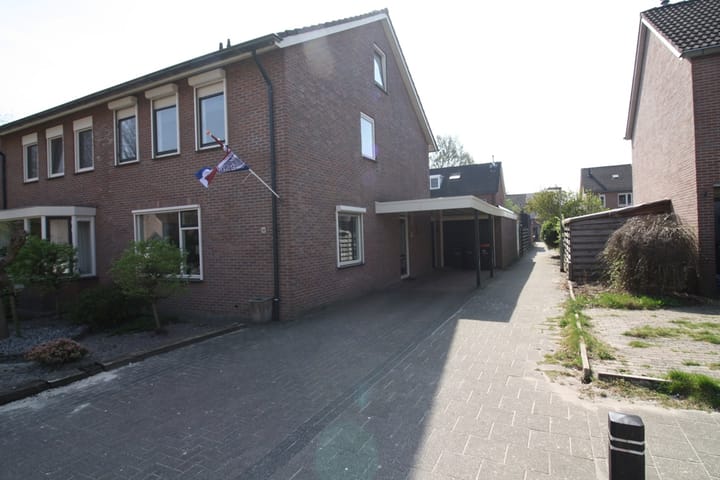 Foto 30 van De Aalscholver 30