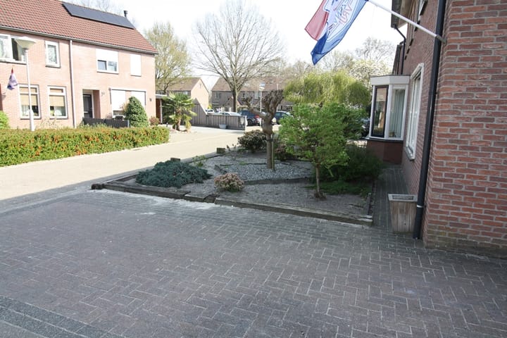 Foto 31 van De Aalscholver 30