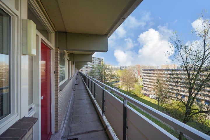 Dunantstraat 993