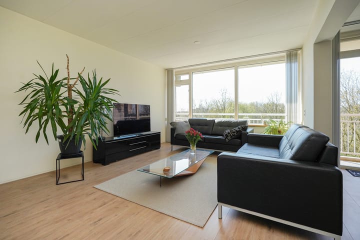 Foto 12 van Dunantstraat 993