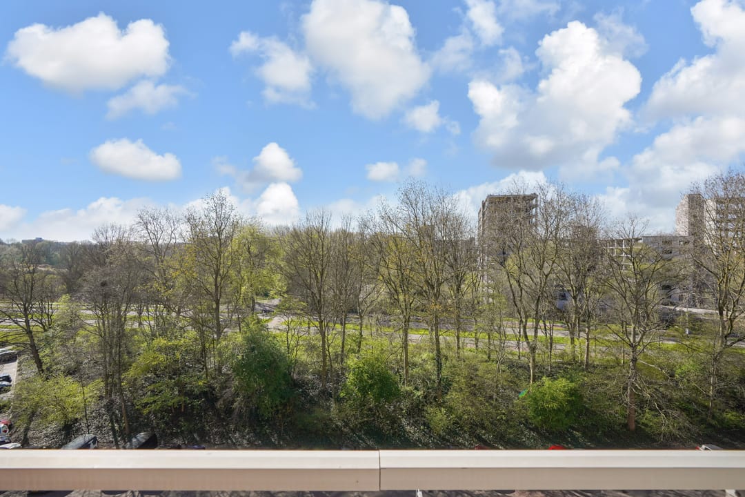 Foto 31 van Dunantstraat 993