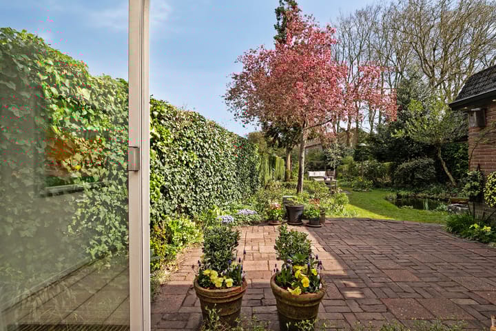 Foto 8 van Plasweg 51