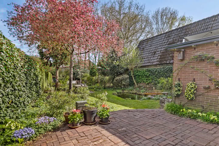 Foto 30 van Plasweg 51