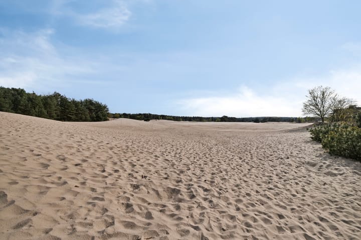 Foto 39 van Plasweg 51