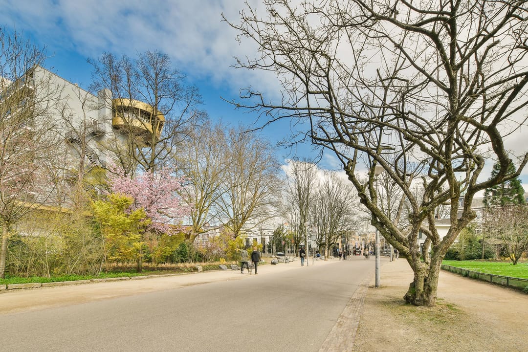 Foto 32 van Frans van Mierisstraat 42-2