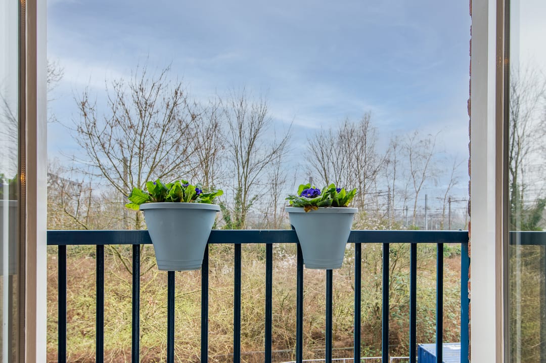 Foto 17 van Zaanstraat 159