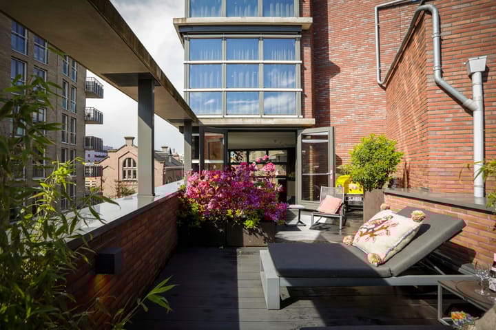 Photo 25 of Dulcie Septemberpad 24