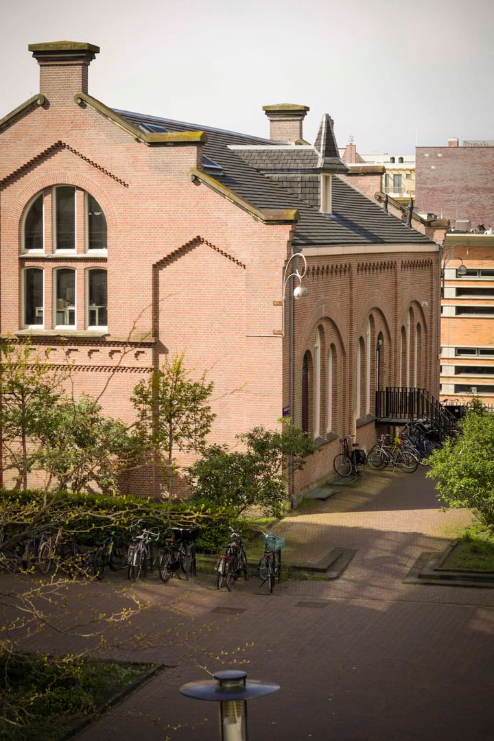 Photo 27 of Dulcie Septemberpad 24