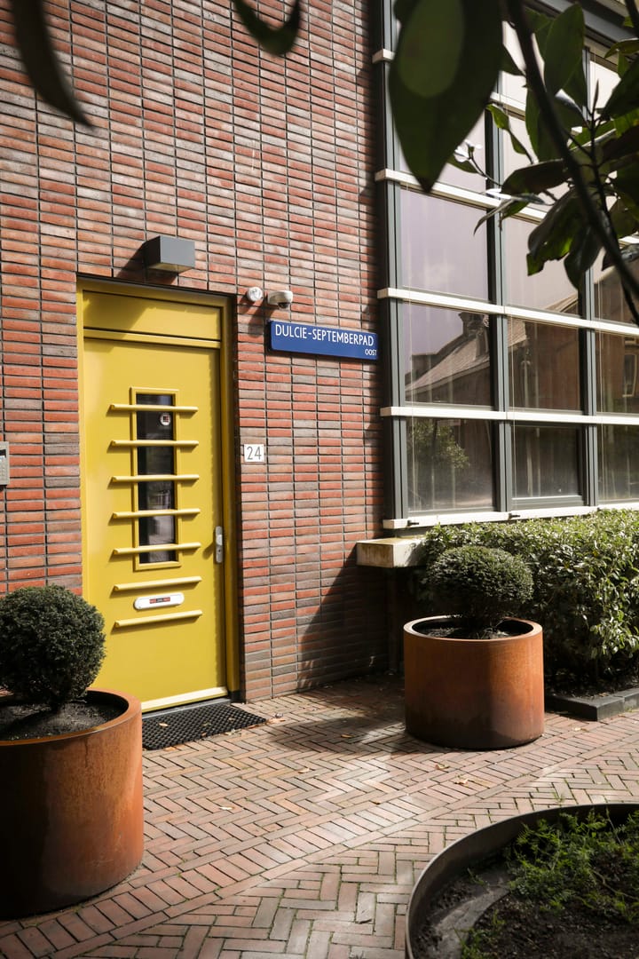 Photo 42 of Dulcie Septemberpad 24