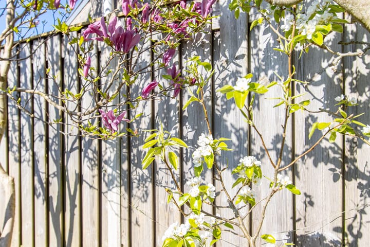 Foto 42 van Citadel 76